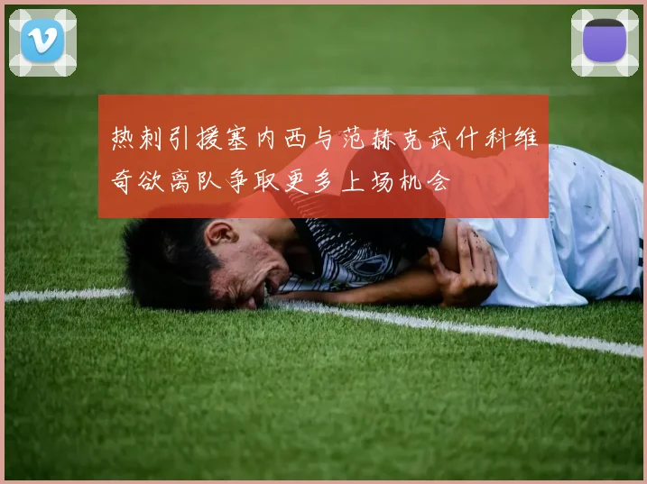 热刺引援塞内西与范赫克武什科维奇欲离队争取更多上场机会