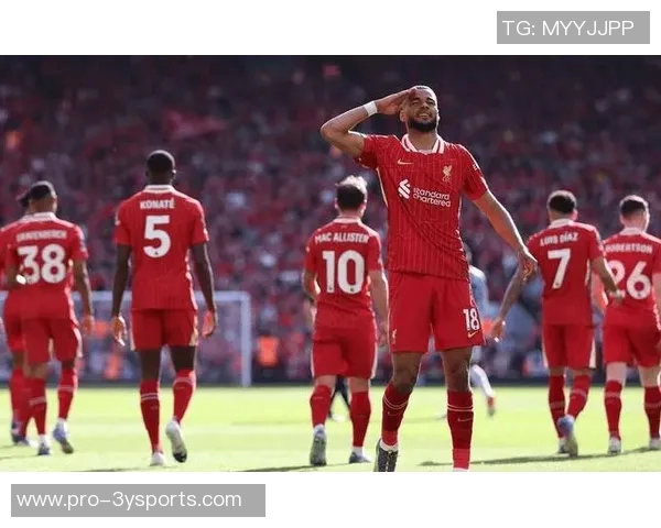 热刺有意以3000万欧买断帕利尼亚球员更倾向留队不回拜仁